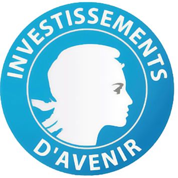 QU’EST-CE QUE LE CONCOURS D’INNOVATION DU PROGRAMME INVESTISSEMENTS D’AVENIR ?